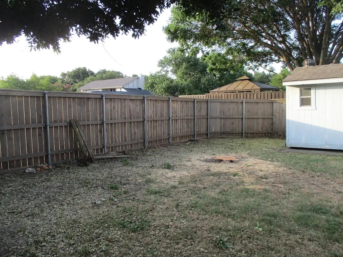 Cleared yard after professional tree removal in Larchmont